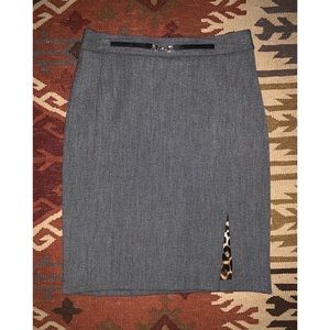 Express Pencil Skirt